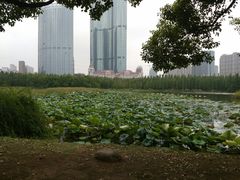 -艾溪湖湿地公园