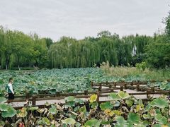 -南翠屏公园