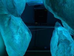 -瑞普利水族馆