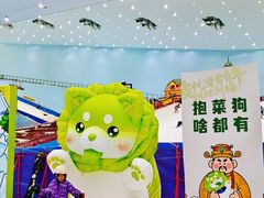 -广州热雪奇迹