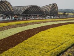 -中国天府农业博览园