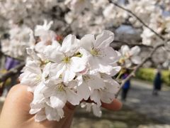 -苏州上方山国家森林公园