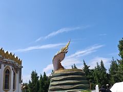 -洛阳白马寺
