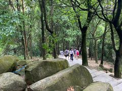 -火炉山森林公园