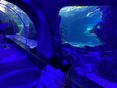 -江和美海洋公园