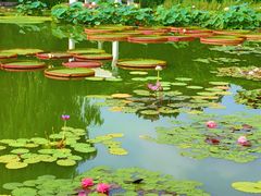 -国家植物园南园