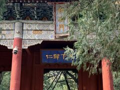 -华夏良子·足道SPA艾灸(龙潭路店)