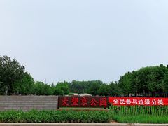 -大望京公园