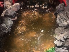 -綱元·海鲜豆捞(明州里店)