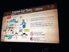 -夜间野生动物园