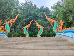 -西双版纳勐泐文化旅游区