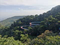 -大芦花风景区