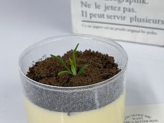 -威利旺卡烘焙西点蛋糕培训(朝阳校区)