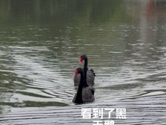 -常州武进九洲喜来登酒店