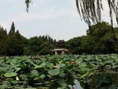 -苏堤停车场