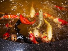 -古莲·影院足道·按摩SPA(水上温泉店)