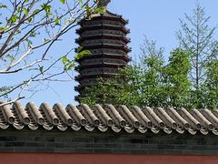 -西海子公园