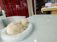 -鲸渝眼镜·浅目视光(春熙路店)