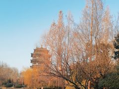 -济南大明湖景区
