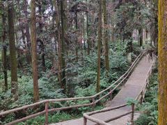 -象山森林公园