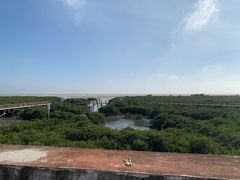 -北海金海湾红树林生态旅游区