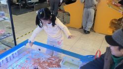 -卡通尼·Safari非洲探索乐园·生日会(金桥国际商业广场店)