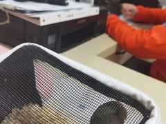 -深圳野生动物园宠物医院(西湖林语店)