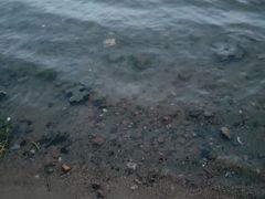 -丁香湖公园