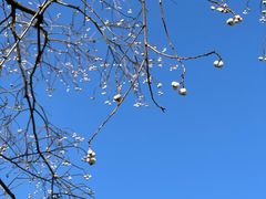 -上海望仙安息园