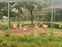 -石家庄市动物园