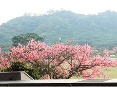 -风云岭森林公园