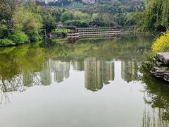 -龙头寺公园