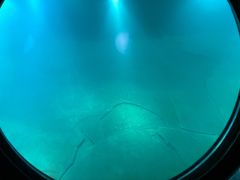 -白鹤梁水下博物馆