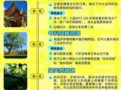 -西双版纳原始森林公园