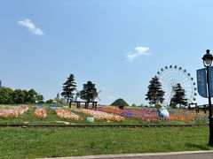 -云漫湖生态度假公园