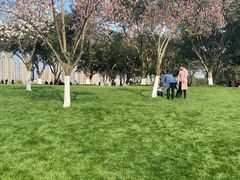 -重庆市江北嘴中央商务区中央公园