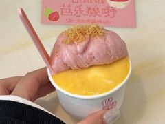 -红楼HONGLOU Gelato(淮海中路店)