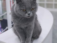 -极木²邸 人与宠物·互动社区