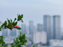 -乌山风景区