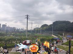 -重庆平顶山公园