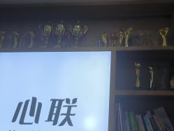 -心联形象设计·流星染