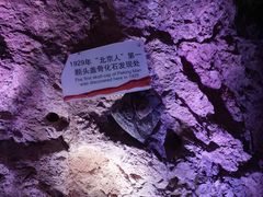 -周口店北京人遗址公园