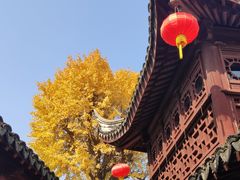 -檀园
