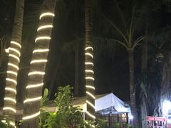 -白沙滩