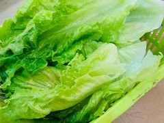 生菜-洪大厨鸡煲(福田店)