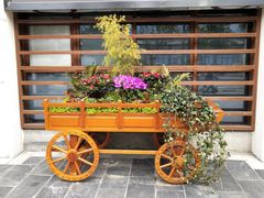 -丰乐餐厅·始于1999·本地老字号