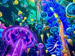 -海合安青岛极地海洋公园