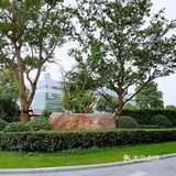 想想也是，附近公司、住宅都是年轻人很多