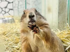 -海合安武汉极地海洋公园