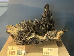 -贵州省地质博物馆
